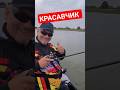 #youtubeshorts #youtuber #fishing #fishingtips #рекомендации #рек #рыбалка #врек #врекомендации