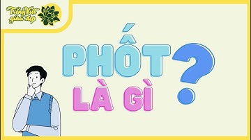 "Phốt" là gì?