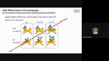 FcRn Affinity Column Chromatography for Therapeutic mAb Characterization