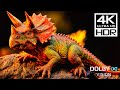 Amazing Wildlife in Stunning 4K HDR 120 FPS Video - Dolby Vision