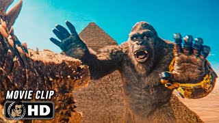 Egypt Fight Scene Godzilla X Kong The New Empire 2024 Movie Clip Hd