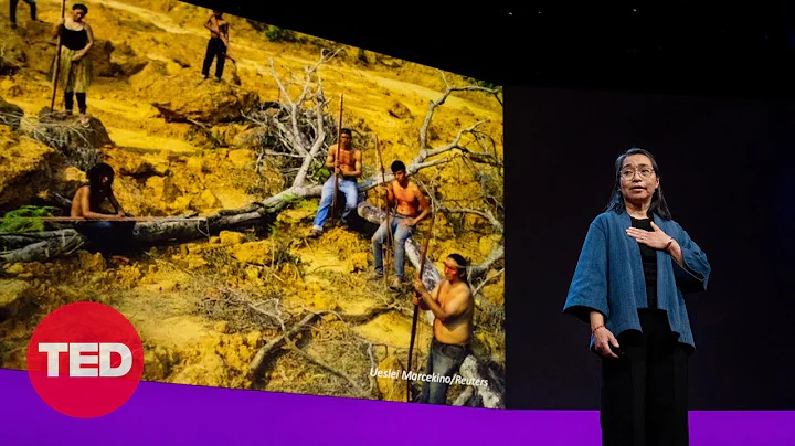 Why Indigenous Forest Guardianship is Crucial to C...