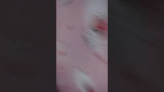 Belvina Lg Belajar Youtobe