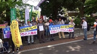2015年5月3日「平和といのちと人権を！ 5・3憲法集会に行こうよパレード」30分