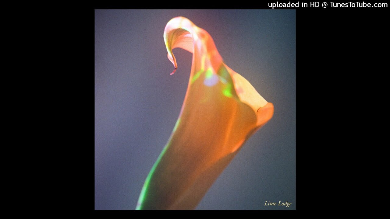 Felisha Ledesma & Angelo Harmsworth - Falsche