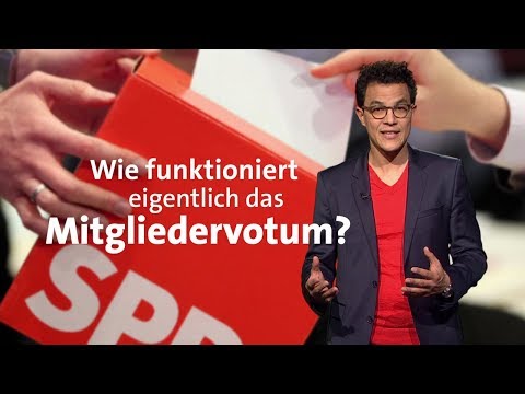 #kurzerklärt: Wie funktioniert das SPD-Mitgliedervotum?