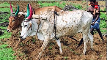 Print Media Chapter 5 Types of News part 1