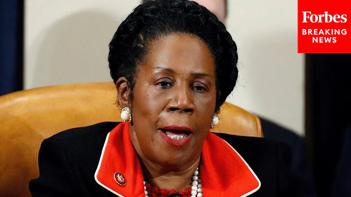 There Are No Lame Duck Americans!: Sheila Jackson ...