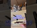 猫は鹿肉を食べるのか?🦌