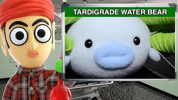 Oddballz Water Bear Plush Tardigrade - Runforthecube Product Review