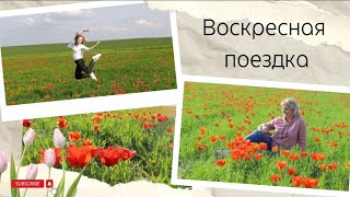 Воскресная поездка за город#рекомендации #шымкент #природаказахстана #vlog #recommended #life