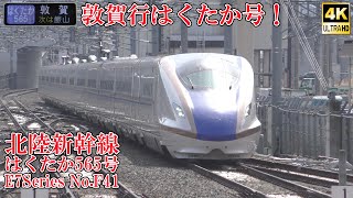 敦賀行！ 北陸新幹線E7系F41編成 はくたか565号 240413 JR Hokuriku Shinkansen Nagano Sta.