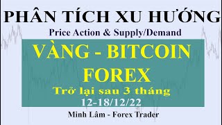 PHÂN TÍCH XU HƯỚNG VÀNG - BITCOIN - FOREX ( Trở lại sau 3 tháng ) 12-18/12/22