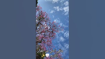 راحة البال 😌❤️ #العيد #اكسبلور #تلاوة_خاشعة #تيك_توك #قران_كريم #لايك #قران #دويتو #ترند #duet