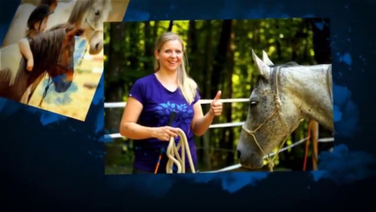 #TrickyHorseTraining