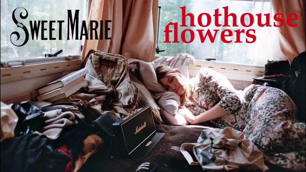 Hothouse Flowers Sweet Marie YouTube