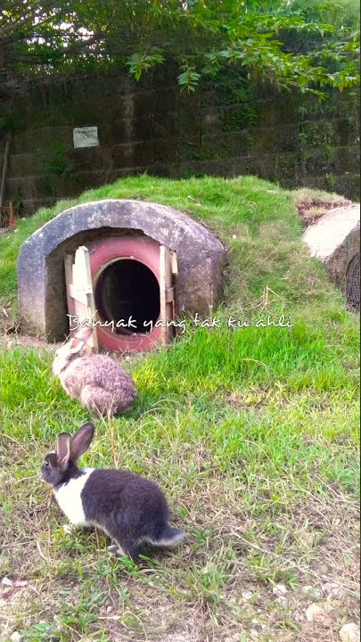 Nadin Amizah - Rumpang || Story WA