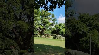 Download Lagu mere mahboob kayamat hogi #morningwalk #trending #kishorekumar #nature #explore #yt #oldsong MP3 Download Lagu mere mahboob kayamat hogi #morningwalk #trending #kishorekumar #nature #explore #yt #oldsong MP3