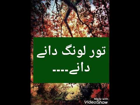 Toor Lawang Dany Dany