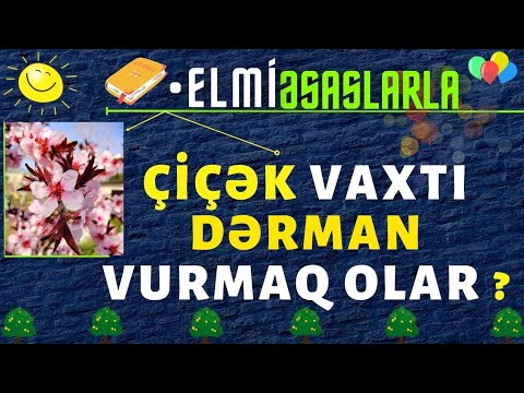 Video: Albalı çiçəyi ağacları albalı verirmi?