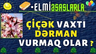 🌹 Çiçək vaxtı ağaca dərman vurmaq olar? | Çiçək vaxtı ağacı sulamaq olar? | #elmiəsaslarla screenshot 1