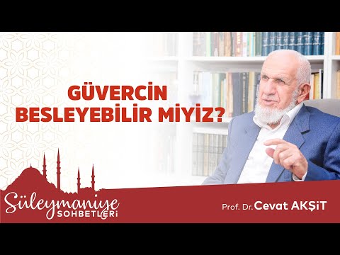 GÜVERCİN BESLEYEBİLİR MİYİZ? - Prof. Dr. Cevat Akşit Hocaefendi