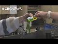 This sunflower lanyard is changing how P.E.I.’s airport treats people with disabilities
