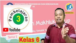 Pada video pembelajaran kelas 6 tema 1 subtema 3 ini saya sajikan
materi buku kurikulum 2013 untuk selamatkan makhluk hidu...