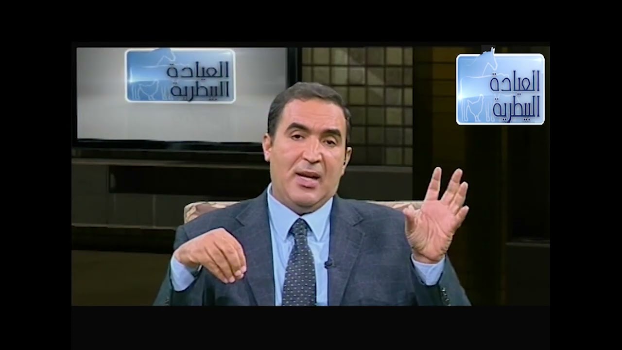 القواعد الاساسية في عليقة المواشي الجيدة مع الدكتور حامد الاقنص