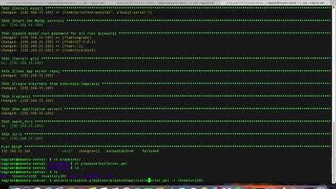 Playbook for showing selenium test