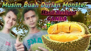 Kebun Durian Monster Hasilkan Buah & Uang  Melimpah,Sambas, Kalimantan Barat ❗❗ CakDhoGem097