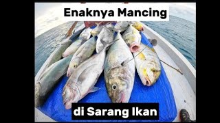 Enaknya Mancing Disarang Ikan