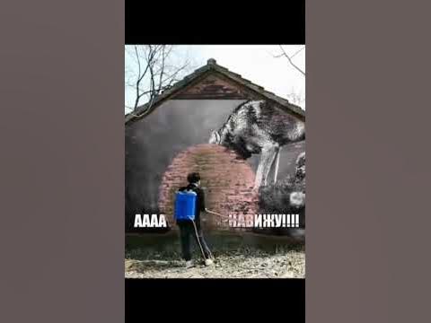 АААА ТРАВА НЕНАВИЖУ!!!! - YouTube