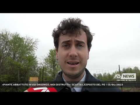 «PIANTE ABBATTUTE IN VIA ORSENIGO, NIDI DISTRUTTI»: SCATTA L'ESPOSTO DEL PD  | 13/04/2023