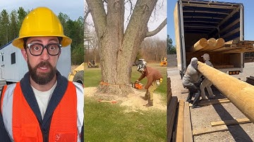 Smart Workers with Amazing Work Hacks✅