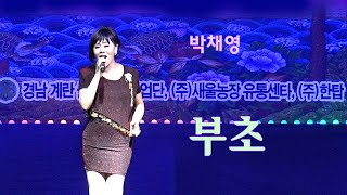 박채영-부초