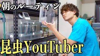 昆虫100匹を飼育するYouTuberの朝ルーティン