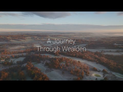 A Journey Through Wealden