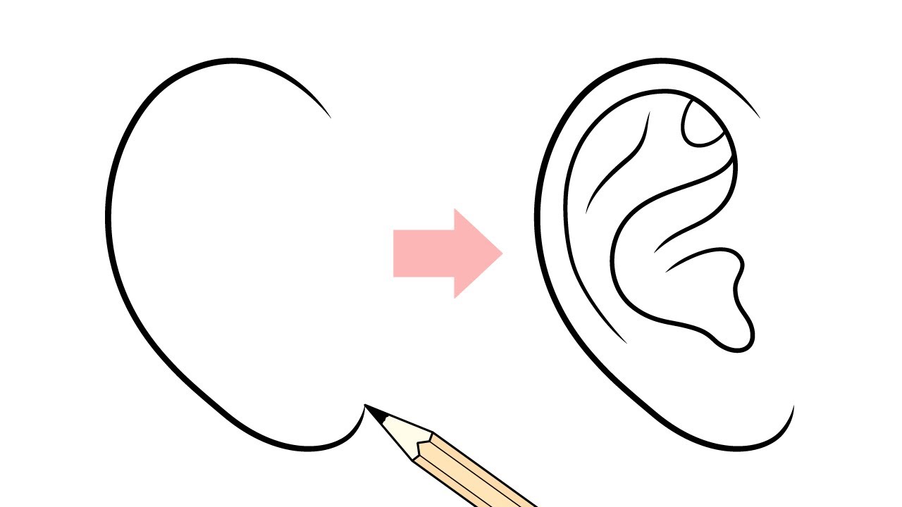 How to avoid extra ears : r/NovelAi