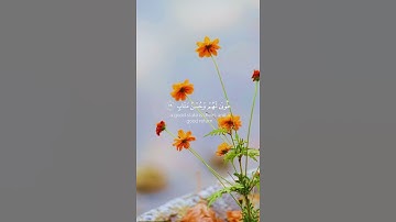 الحمد لله ❤️🤲  #القرآن_الكريم #تلاوة_هادئة #لايك #تدبر_القرآن #اكسبلور #راحة_نفسية