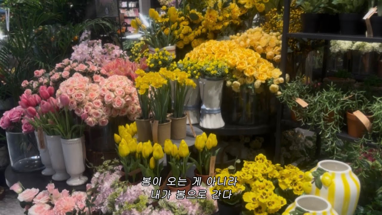 개강 일주일 차에 맞이한 공강이란 