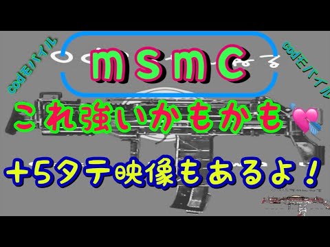 MSMCでランクマサーチ！！　　　＋面白シーンと5タテ映像‼️