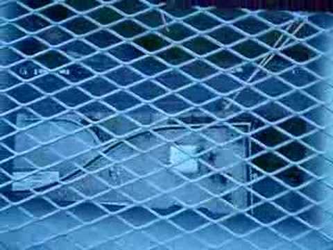 Gui bungee