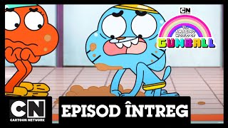 Uimitoarea lume a lui Gumball | Rețeta/Cățelul (episod întreg în limba română) | Cartoon Network