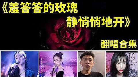 【抖音翻唱合集】【羞答答的玫瑰静悄悄地开】原唱:孟庭苇 TIK TOK Cover 热门歌曲惊艳翻唱 神仙级翻唱 壮语版 粤语版  经典金曲翻唱 轻快版 抖音DJ版  一段回忆一首老歌 最美港姐