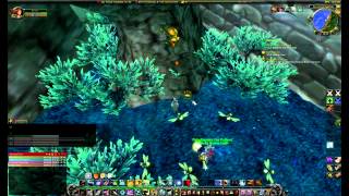 [Sap Tapping] - World of warcraft quest Net Worth