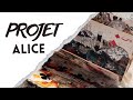 Projet alice   assemblage 