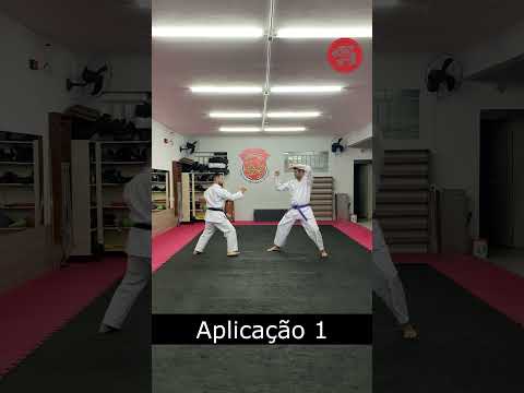 Bunkai Heian Nidan