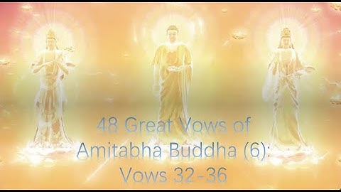 Sutra Talk | 48 Great Vows of Amitabha Buddha (6): Vows 32-36
