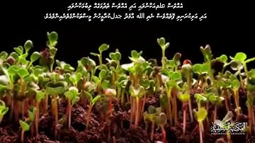 Quran: And you see the land lying dry and barren but as soon as We send down rain water upon it..